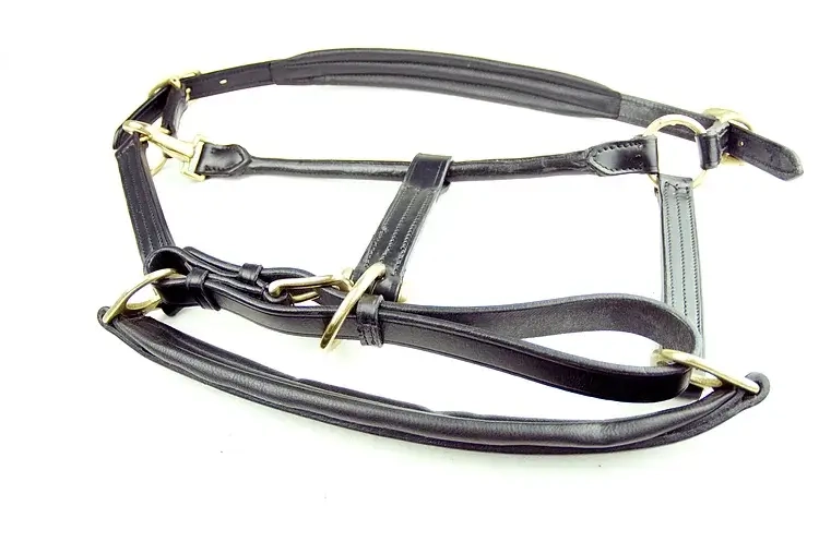 head collar