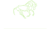 Gloag Equestrian